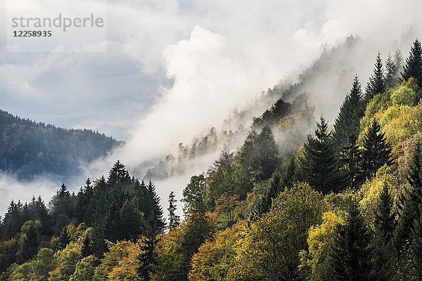 Nebel im Höllental  Herbst  bei Freiburg  Schwarzwald  Baden-Württemberg  Deutschland  Europa