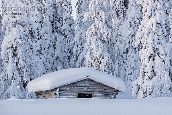 Schneebedeckte Hütte in Winterlandschaft  Pallastunturi  Pallas-Yllästunturi-Nationalpark  Muonio  Lappland  Finnland  Europa