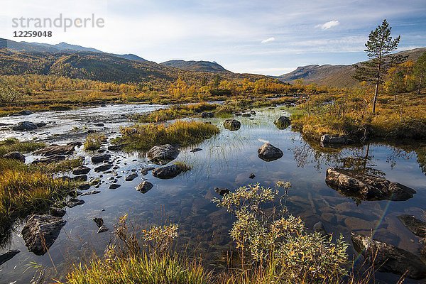 Fluss durch den Ånderdalen-Nationalpark  Senja  Norwegen  Europa