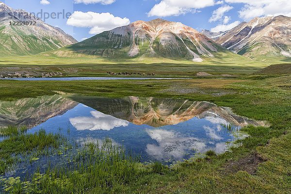 Berge  die sich im Wasser spiegeln  Naryn-Schlucht  Region Naryn  Kirgisistan  Asien