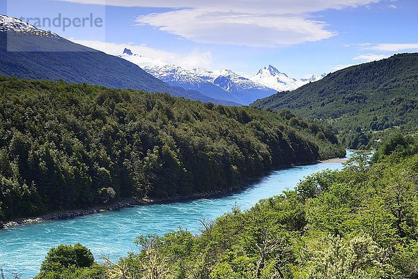 Rio Baker  bei Puerto Bertrand  Región de Aysén  Chile  Südamerika
