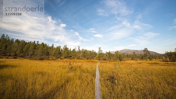 Wanderweg  Ånderdalen-Nationalpark  Senja  Norwegen  Europa