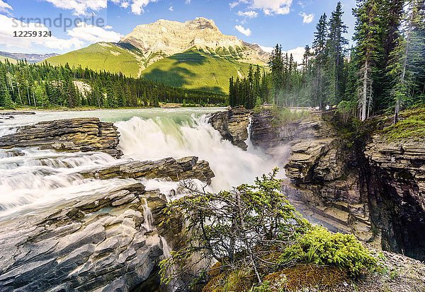 Athabasca-Wasserfälle  Athabasca-Fluss  Jasper-Nationalpark  Alberta  Kanada  Nordamerika