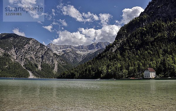 Plansee mit Kohlbergspitze  Ammergauer Alpen  Tirol  Österreich  Europa