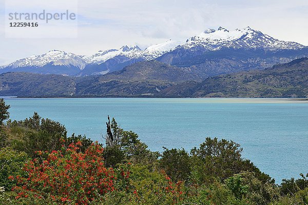 Blick auf den See Lago General Carrera und schneebedeckte Berge  Región de Aysén  Chile  Südamerika