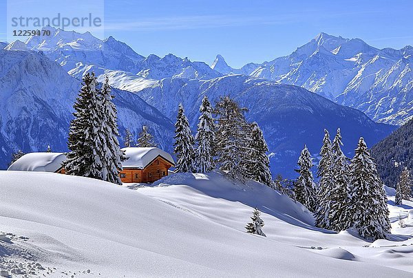 Winterlandschaft mit tief verschneiten Chalets  im hinteren Gipfelbereich von Dom  4545m  und Matterhorn  4478m  Riederalp  Aletschgebiet  Oberwallis  Wallis  Schweiz  Europa