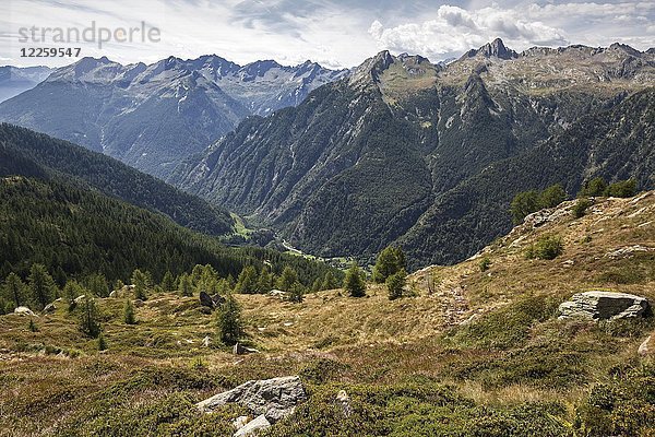 Blick von der Alpe Cana auf das Lavizzatal  Valle Lavizarra  Kanton Tessin  Schweiz  Europa