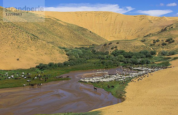 Baga-Nariin-Gol  Nariin-Fluss  Mongolei  Asien