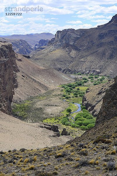 Grünes Flusstal  Rio Pinturas Canyon  nahe Perito Moreno  Provinz Santa Cruz  Patagonien  Argenitinien