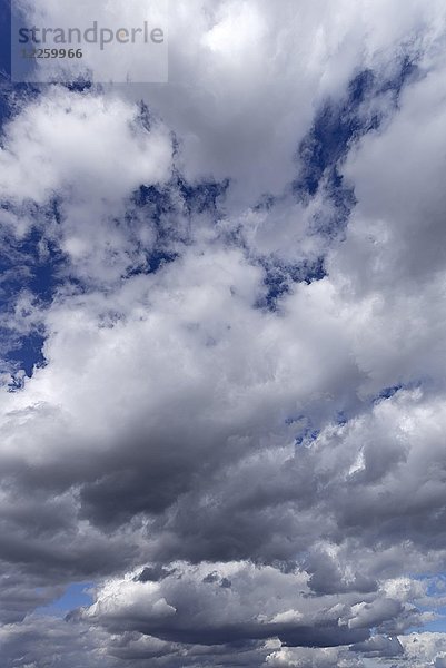 Aufziehende Regenwolken (Nimbostratus)  Hintergrundbild  Bayern  Deutschland  Europa