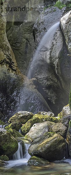 Wasserfall  Zimitzbach  Gößl am Grundlsee  Steiermark  Österreich  Europa