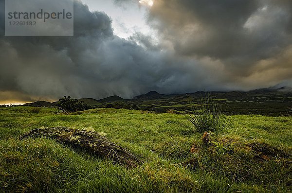 Grüne Landschaft mit dunkler Gewitterwolke  bei Lajes do Pico  Insel Pico  Azoren  Portugal  Europa