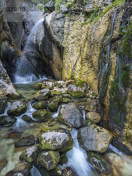 Wasserfall  Zimitzbach  Gößl am Grundlsee  Steiermark  Österreich  Europa