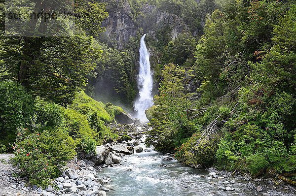 Wasserfall zwischen dichter Regenwaldvegetation  Valle Exploradores  bei Puerto Rio Tranquilo  Región de Aysén  Chile  Südamerika