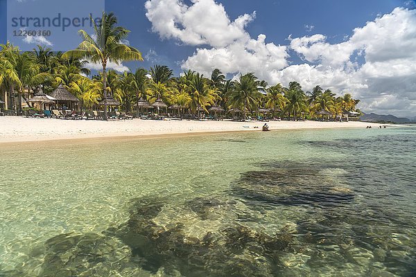 Traumstrand mit Palmen an der Bucht von Turtle Bay  Mauritius  Afrika