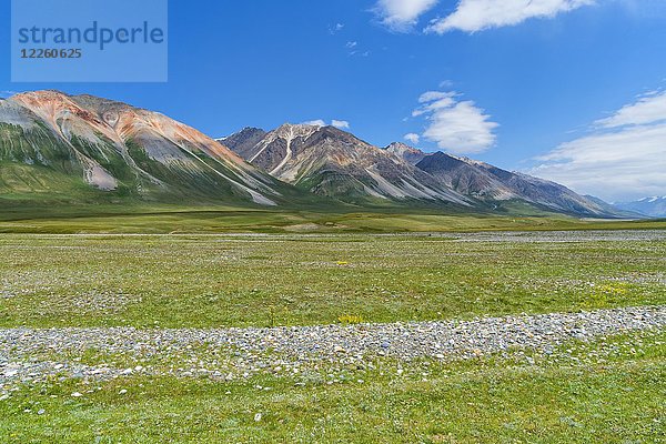 Berglandschaft  Naryn-Schlucht  Region Naryn  Kirgisistan  Asien