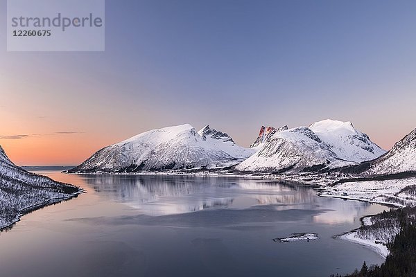 Blick auf den Fjord in Abendstimmung  Insel Senja  Troms  Norwegen  Europa