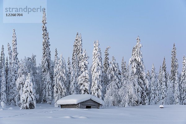 Schneebedeckte Hütte in Winterlandschaft  Pallastunturi  Pallas-Yllästunturi-Nationalpark  Muonio  Lappland  Finnland  Europa