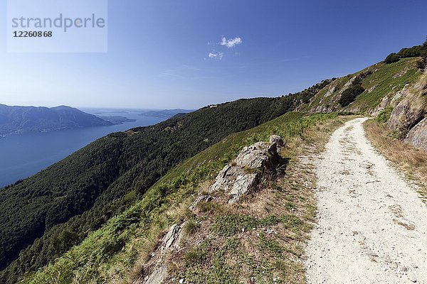 Wanderweg zum Monte Morissolo am Lago Maggiore  Cannero Riviera  Provinz Verbano-Cusio-Ossola  Region Piemont  Italien  Europa