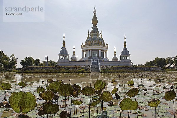 Teich mit Lotus (Nelumbo) vor dem Maha Rattana Chedi des Wat Thung Setthi  Khon Kaen  Isan  Thailand  Asien