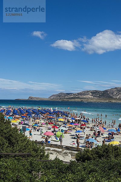 Überfüllter Strand von La Pelosa  Sardinien  Italien  Europa