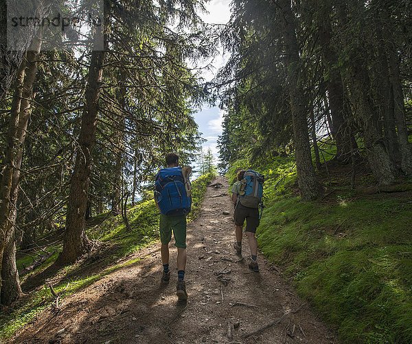 Wanderer auf dem Weg im Wald zur Hochwurzen  Schladminger Höhenweg  Schladminger Tauern  Schladming  Steiermark  Österreich  Europa