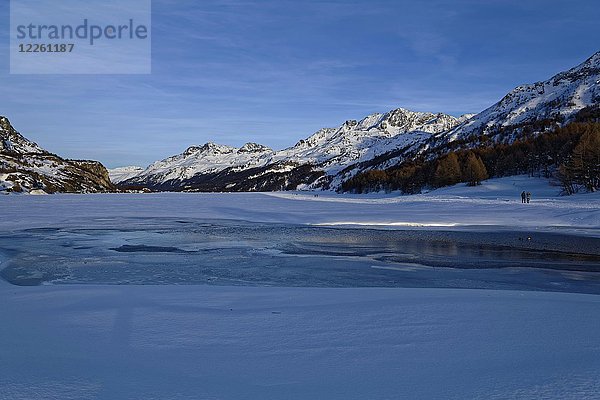 Blick über den zugefrorenen Silsersee zur Berninagruppe mit den Gipfeln Piz Rosatsch  Piz Surlej und Piz Corvatsch  Maloja  Oberengadin  Kanton Graubünden  Schweiz  Europa