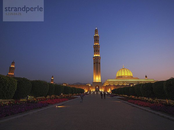 Abendstimmung  beleuchtete Große Sultan-Qabus-Moschee mit Minarett  Muscat  Oman  Asien