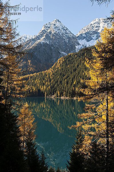 Bergsee mit Europäischer Lärche (Larix decidua) im Herbst  Antholzer See  Lago di Anterselva  Rieserfernergruppe  Naturpark Rieserferner-Ahrn  Rasun Anterselva  Antholzertal  Südtirol  Alto Adige  Italien  Europa