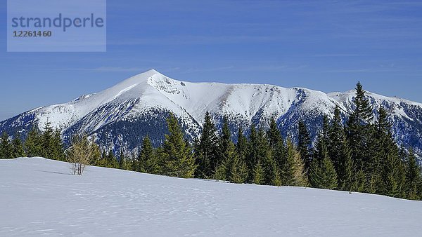Winterlandschaft mit Schneeberg  schneebedeckter Gipfel  Blick von der Raxalpe  Rax  Niederösterreich  Österreich  Europa