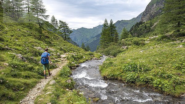 Wanderer am Steinriesenbach  Wanderweg zur Gollinghütte  Schladminger Höhenweg  Schladminger Tauern  Schladming  Steiermark  Österreich  Europa