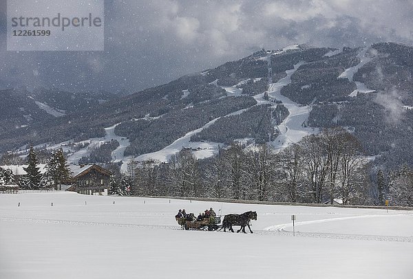Pferdekutsche im Schnee  Schneefall  bei Schladming  Ramsau am Dachstein  Steiermark  Österreich  Europa