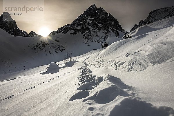 Gipfel der Dremelspitze im Winter mit Skispur bei Sonnenaufgang  Lechtal  Tirol  Österreich  Europa