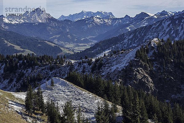 Blick vom Spieser ins Tannheimer Tal mit schneebedeckten Alpen  Oberjoch  Bad Hindelang  Allgäu  Bayern  Deutschland  Europa