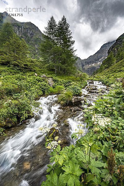 Steinriesenbach auf dem Wanderweg zur Gollinghütte  Schladminger Höhenweg  Schladminger Tauern  Schladming  Steiermark  Österreich  Europa