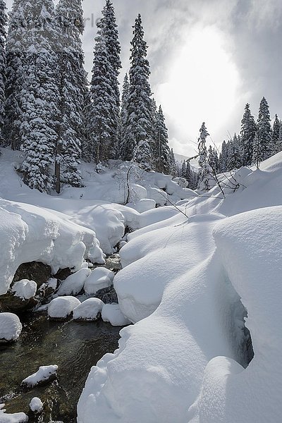 Winterlandschaft  schneebedeckter Bach  Hochfügen  Zillertal  Tirol  Österreich  Europa