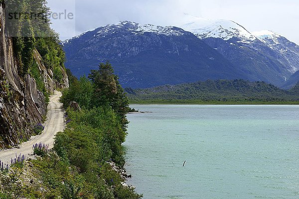 Straße am Lago Bayo  Valle Exploradores  bei Puerto Rio Tranquilo  Región de Aysén  Chile  Südamerika