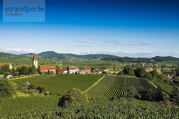 Weindorf und Kulturlandschaft im Herbst  Burkheim  Vogtsburg im Kaiserstuhl  Baden-Württemberg  Deutschland  Europa