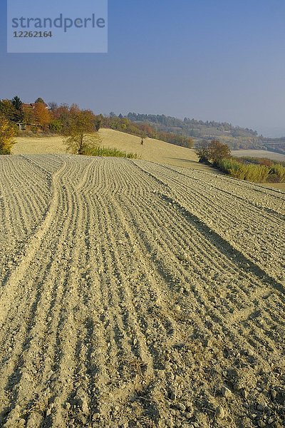 Abgeerntete Felder im Herbst  in der Nähe von Montechiaro d'Asti  Monferrato  Piemont  Italien  Europa