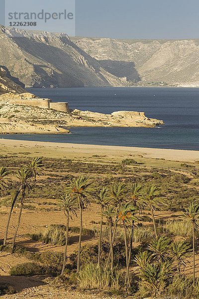 Playazo-Strand mit Palmen und der Burg San Ramon auf der linken Seite  Naturpark Cabo de Gata-Nijar  Provinz Almeria  Andalusien  Spanien  Europa