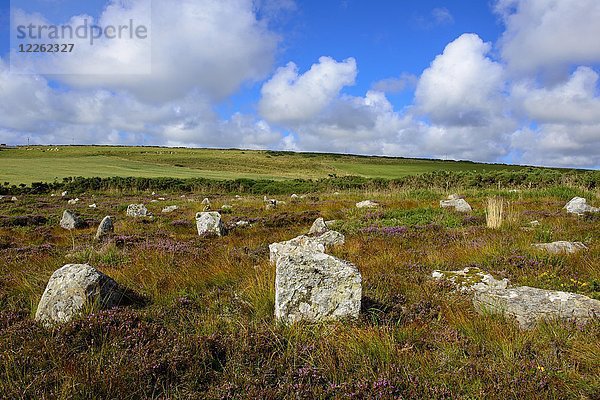 Hill O'Many Stanes  Steinkreise  Steinsetzung  Britische Megalithkultur  in Lybster  Caithness  Sutherland  Highland  Schottland  Großbritannien