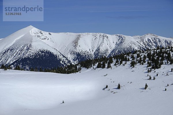 Winterlandschaft mit Schneeberg  schneebedeckter Gipfel  Blick von der Raxalpe  Rax  Niederösterreich  Österreich  Europa