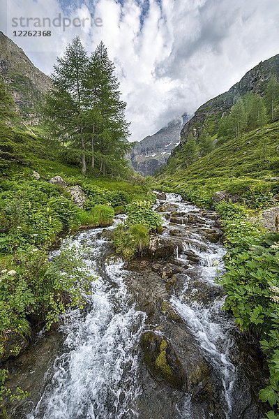 Steinriesenbach auf dem Wanderweg zur Gollinghütte  Schladminger Höhenweg  Schladminger Tauern  Schladming  Steiermark  Österreich  Europa