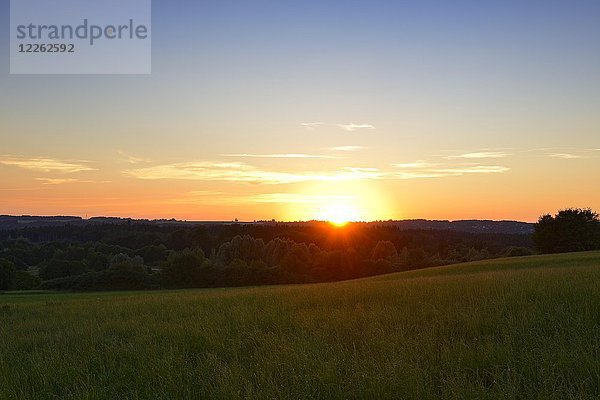 Sonnenuntergang über der Pupplinger Au bei Ergertshausen  Gemeinde Egling  Oberbayern  Bayern  Deutschland  Europa