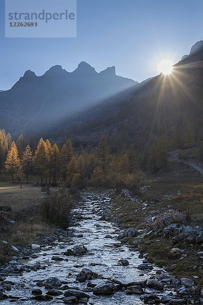 Beleuchteter Wildbach und Berge  Wanderung zum Lago Nero  Valle Maira  Piemonte  Italien  Europa