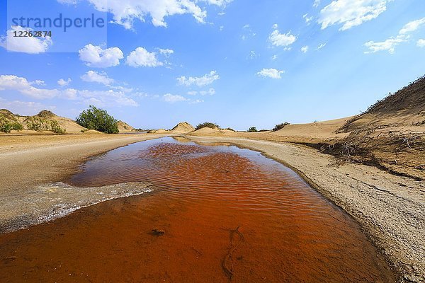Salzsee in der Wüste  Walvis Bay  Erongo-Region  Namibia  Afrika