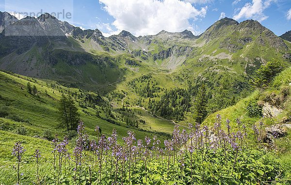 Blick auf die Berge Krukeck  Sauberg und Vettnerspitzen vom Schladminger Höhenweg  Schladminger Tauern  Schladming  Steiermark  Österreich  Europa