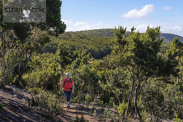 Frau auf Wanderweg in Los Barranquillos  bei Vallehermoso  Nationalpark Garajonay  La Gomera  Kanarische Inseln  Spanien  Europa