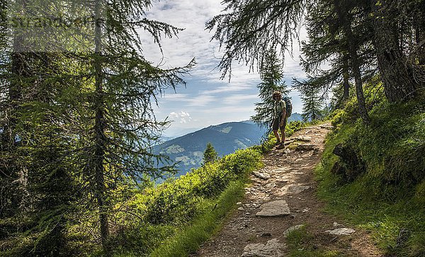 Wanderer auf dem Weg im Wald zur Hochwurzen  Schladminger Höhenweg  Schladminger Tauern  Schladming  Steiermark  Österreich  Europa