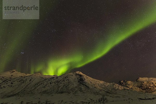 Nordlichter über schneebedeckten Bergen  in der Nähe von Tromso  Norwegen  Europa